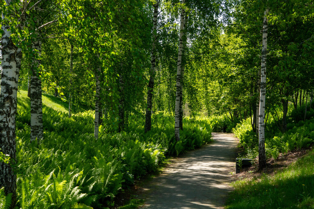 Sandgrundsparken